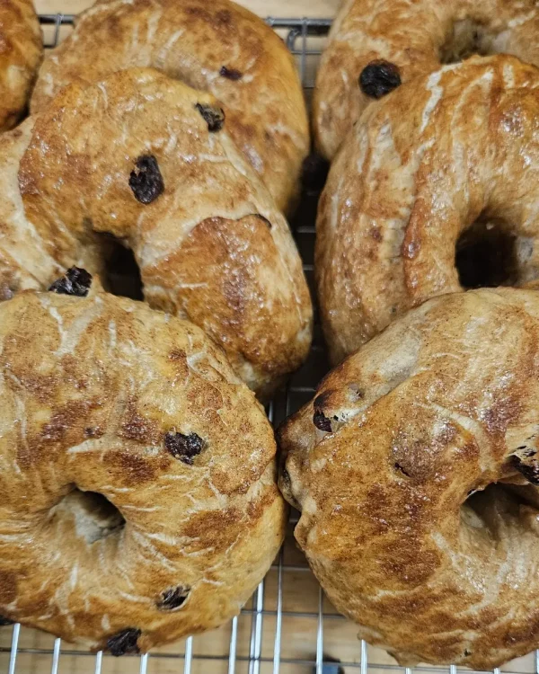 Cinnamon Raisin Bagel