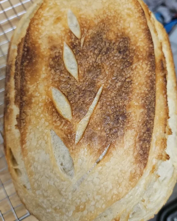 Sourdough Bread